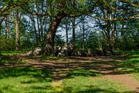 Hunebed Roden dreamy atmosphere