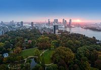  Voilà le soleil... Rotterdam / Euromast