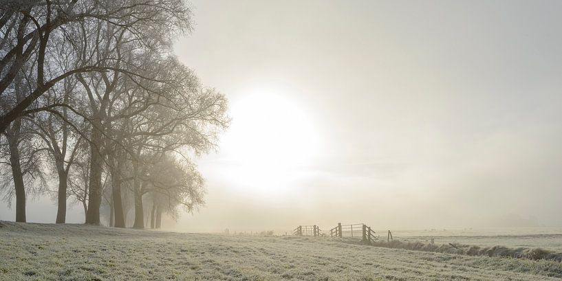 Horizontal givré d'hiver pendant un matin brumeux par Sjoerd van der Wal Photographie