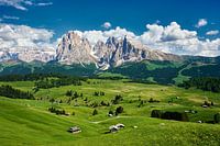 Alpe de Siusi dans le Tyrol du Sud avec le groupe du Langkofel en arrière-plan