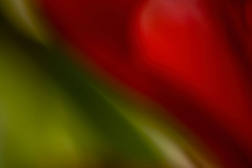 Abstrakte rote und grüne Diagonale von Anki Riteco