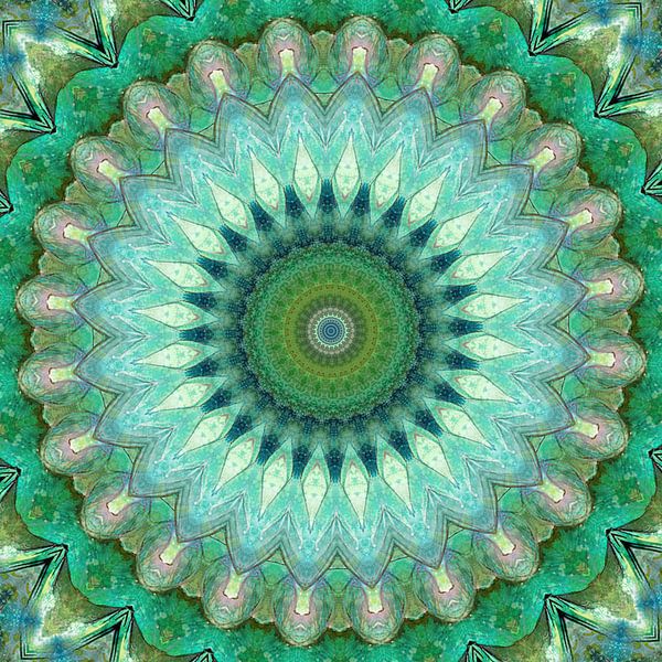 Mandala Wald und Wiese von Christine Bässler