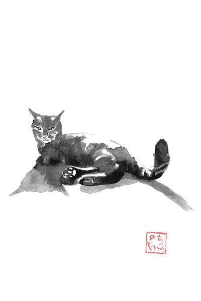 cat on the road par Péchane Sumie