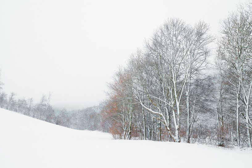 Winterwanderung von Max Schiefele