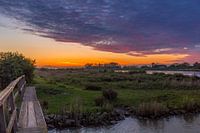 Coucher de soleil Nieuwendijk