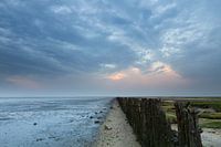 Cool place on a tropical day