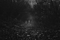 Wandering in the dark