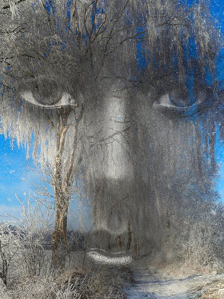 Come with me to the winter wonderland von Gabi Hampe