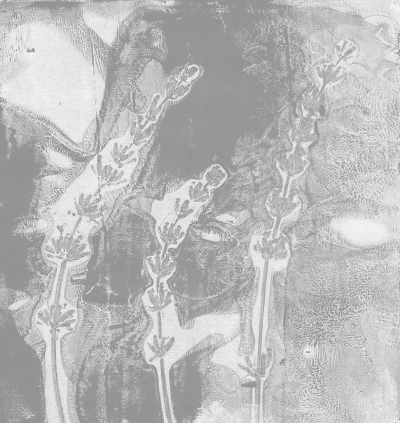 Lavendel in grijs en wit. Moderne botanische minimalistische kunst van Dina Dankers