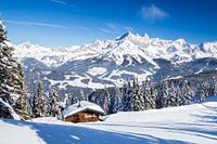 Winter Mountain Landscape 