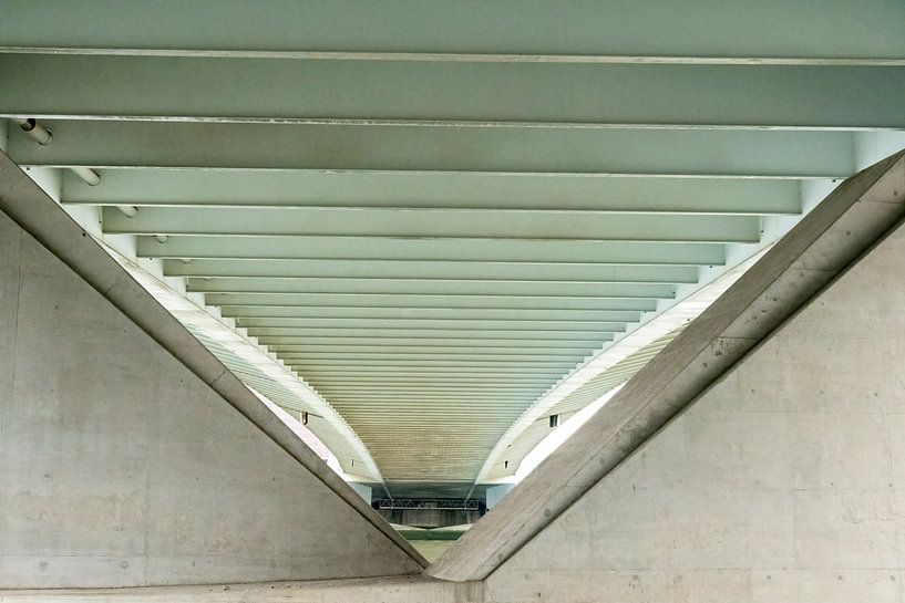 Le dessous du pont Erasmus à Rotterdam. par Merijn Loch