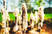 Style my Home series by Liberty Ragazza Biesma