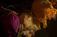 Melancholy and past beauty #2