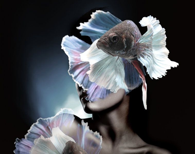 Fischerei II von Dreamy Faces