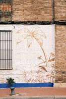 Art du palmier sur un mur à Valence // Espagne // Photographie de voyage et de rue