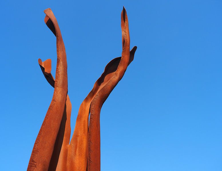 Kupfer-Morgen von YesItsRobin