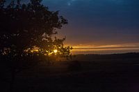 Zon zakt achter de boom