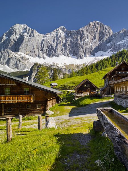 Eté alpin IV par Rainer Mirau