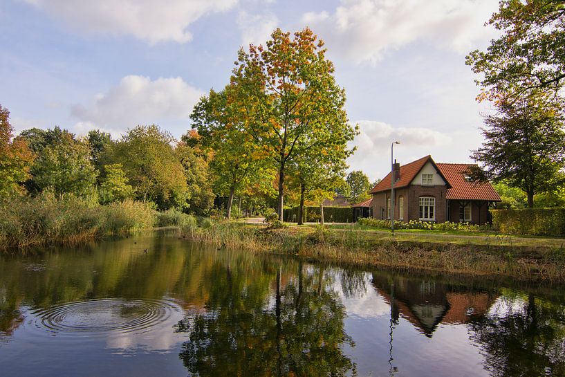 Herbst in Griendtsveen von Charlene van Koesveld