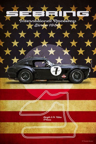 Sebring Black Cobra Vintage by Theodor Decker