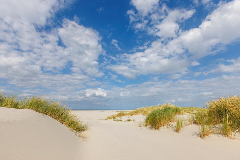 Beach with beach grass and beautiful clouds on a summer day by Anja Brouwer Fotografie