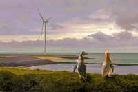 Pinguine am Strand bei der Beratung.