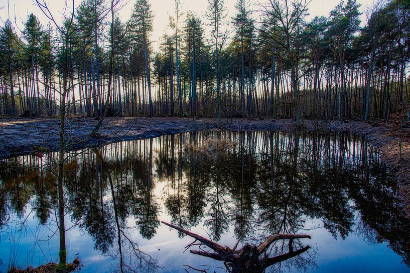 Reflection by jacky weckx