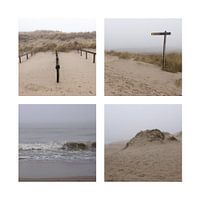 Texel, near the beach and dunes in the fog