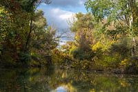 stille Wasser, bunte Wälder