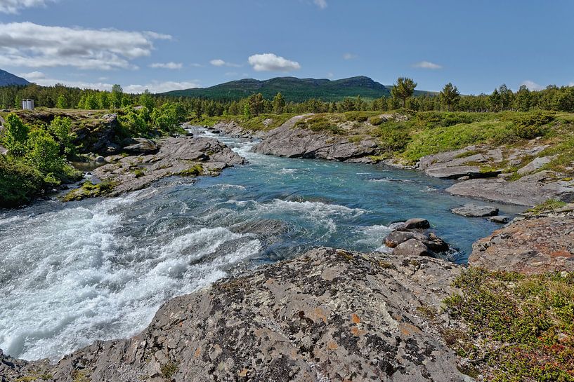 Norwegen, Sommer by Michael Schreier