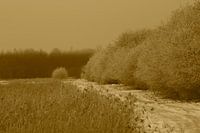 Fotografie Puur Natuur...