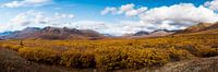 Tombstone National park Yukon
