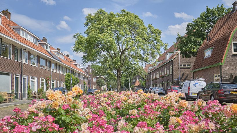 Flowers in the Gerard Noodtstraat - Tuinwijk - Utrecht by Coen Koppen