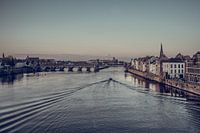 Maastricht Steißbein