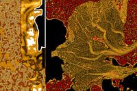 Virtuelle Landschaft