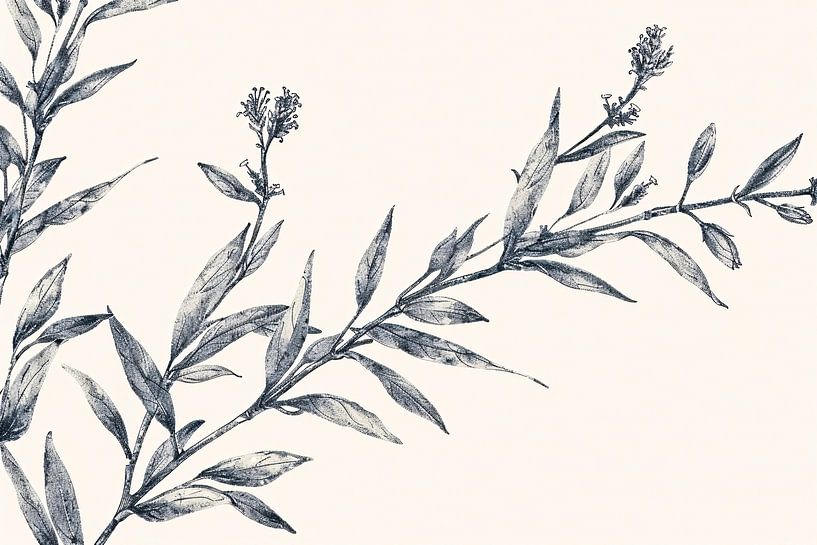 Botanische Strichzeichnung mit Details von Imperial Art House