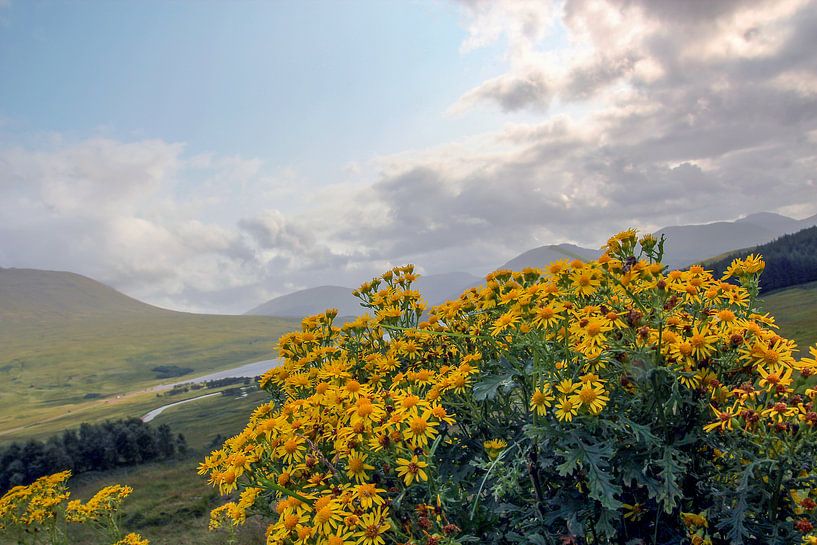 Schotland by Tineke Roosen