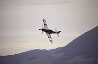 P51 D "Mustang" 