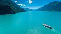 Dampfschiff Lötschberg auf dem Brienzersee