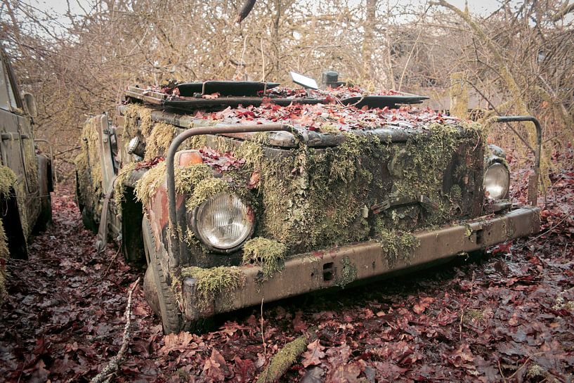 Traction Sud (1) von Evelien Geerinckx