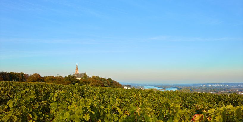 Der Rochusberg in Bingen am Rhein von Ralph Rainer Steffens