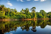 View on the Suriname river