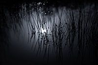 Verträumte, ertrinkende Dunkelheit