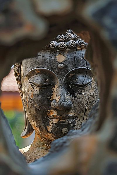 see-through by Imperial Art House