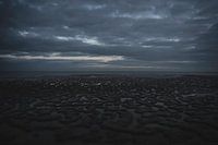 Petits matins sur la mer des Wadden