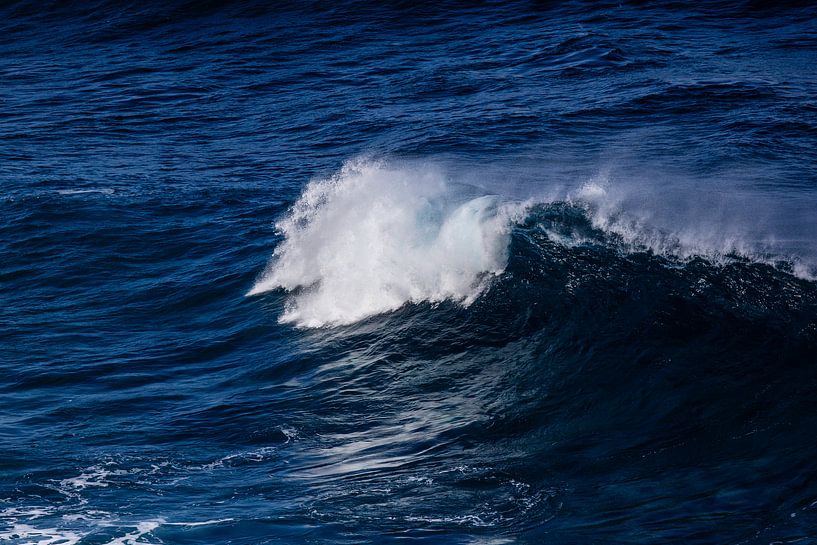 Rollende Welle auf dem Ozean von Eric van Nieuwland