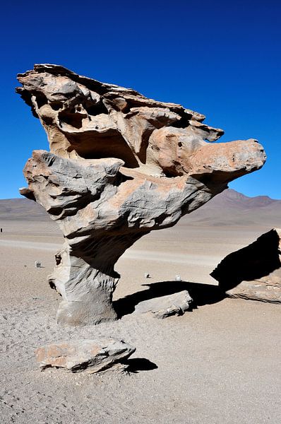 Fascinating landscapes of the Siloli desert by Frank Photos