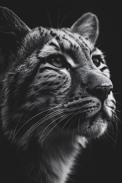 Impressive black-and-white close-up portrait of a leopard by Art & Soul Creations