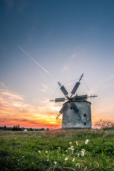 Moulin à blé au coucher du soleil Tez Unagrn avec fleurs par Fotos by Jan Wehnert