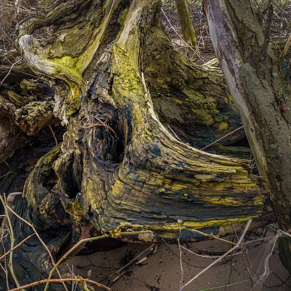 wood by the river by Eugene Winthagen